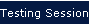 Testing Sessions